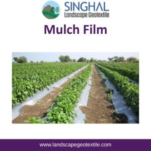Mulch Film