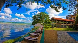 thaulle-resort