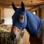 Beyond the Barn: Why Horse Hoods Are an Essential Part of Everyday Equine Care