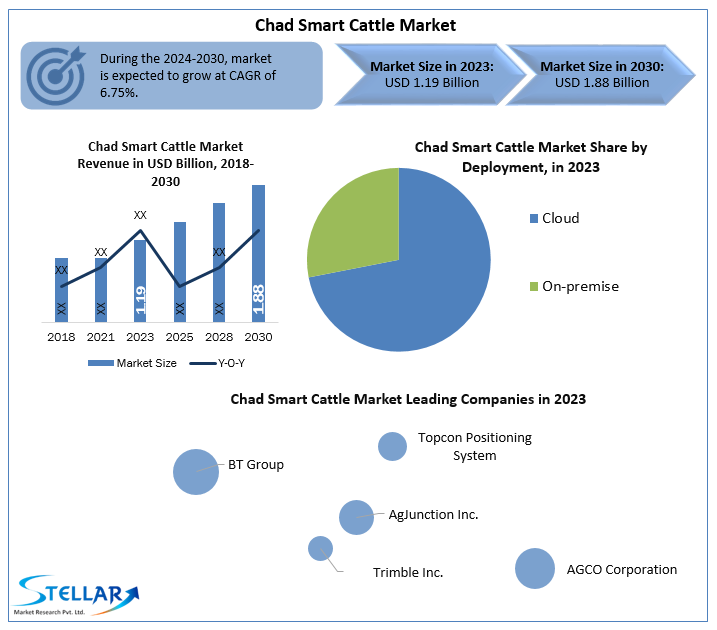 Chad-Smart-Cattle-Industry
