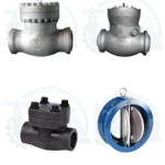 Check Valve Manufacturer in Mumbai1