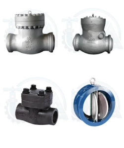 Check Valve Manufacturer in Mumbai1