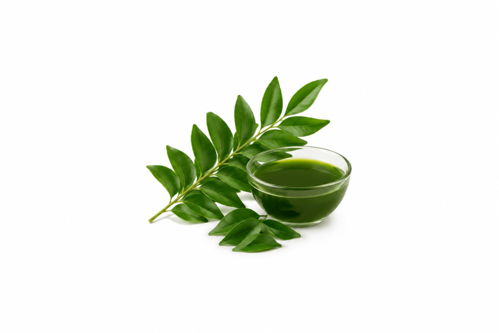 Curry Leaf Extract in a glass bowl with fresh green curry leaves on a white background.