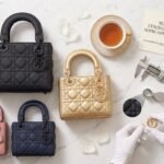 Birkin vs Kelly