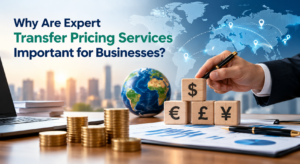 Global Transfer Pricing Business Infographic