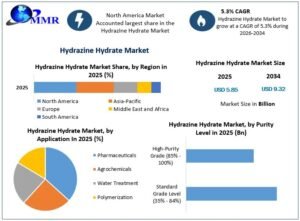 Hydrazine-Hydrate-Market-2 (2)