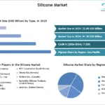 Silicone-Market-SMR-Snapshot (1)