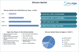 Silicone-Market-SMR-Snapshot (1)