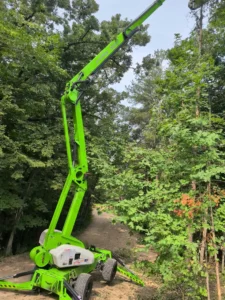 Tree Care Services