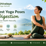10 Best Yoga Poses for Digestion