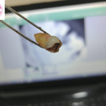 dental clinic near manish nagar