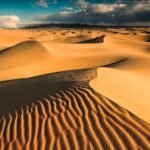Mongolei Wüste Gobi