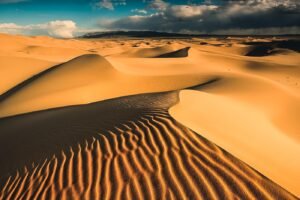 Mongolei Wüste Gobi