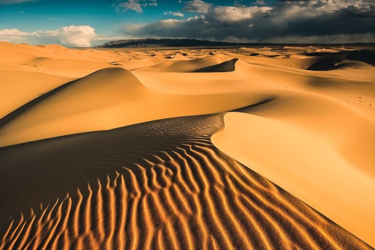 Mongolei Wüste Gobi