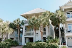 White houses with palm trees growing near them