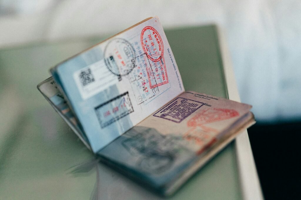 immigration advisor new zealand