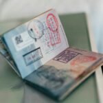 immigration advisor new zealand