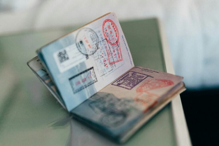 immigration advisor new zealand
